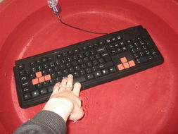 雙飛燕G300網吧鍵盤 卓越產品助力網吧連鎖經營管理服務