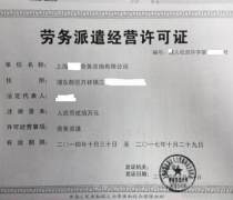 勞務(wù)派遣服務(wù) 最新市場動態(tài)與企業(yè)發(fā)展機遇