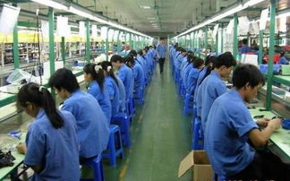 佛山市勞務市場解析 勞務派遣、勞務外包與職業中介活動詳解